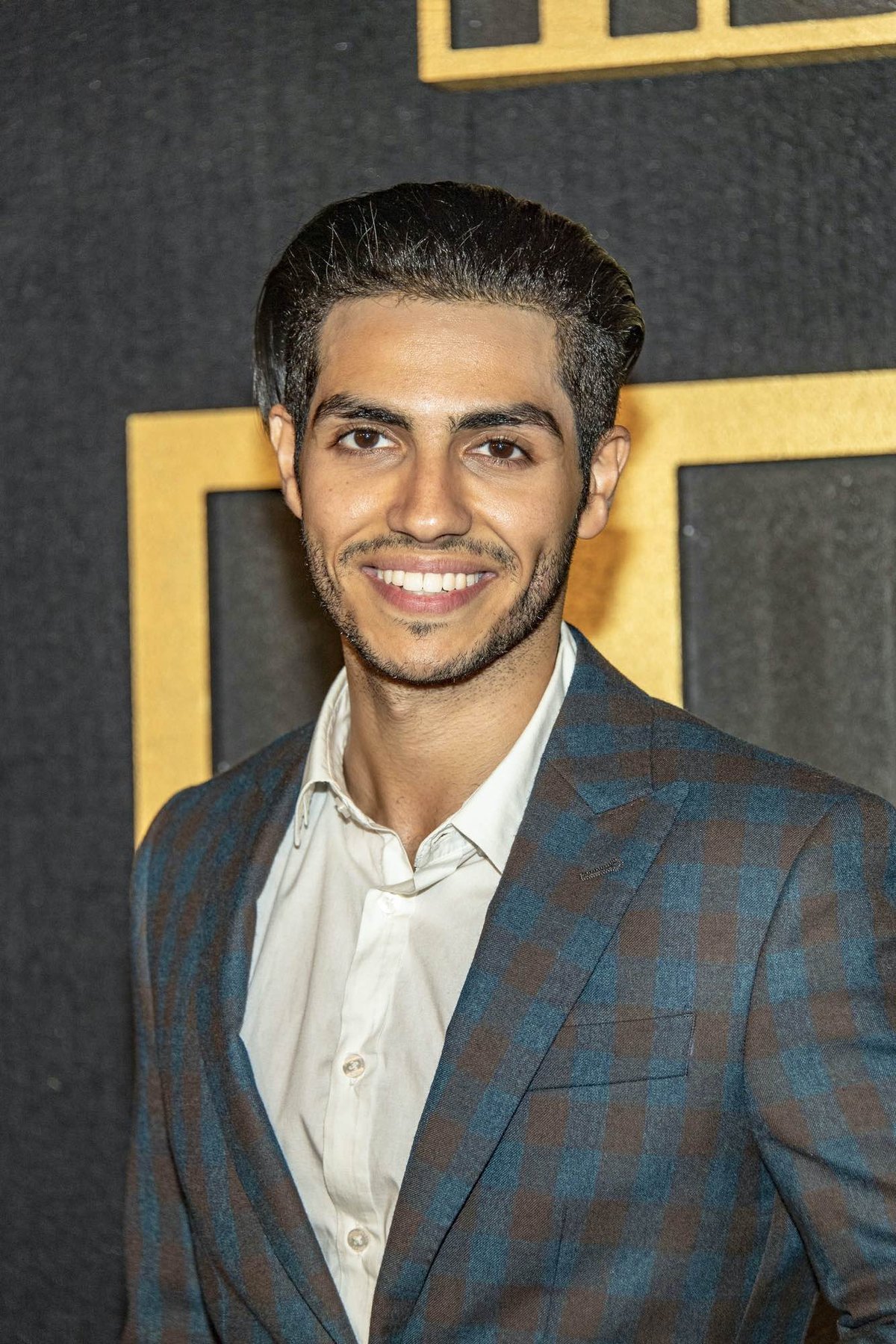 Ranking Mena Massouds Best Movies and Shows to Watch